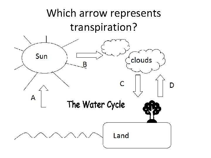 Which arrow represents transpiration? 