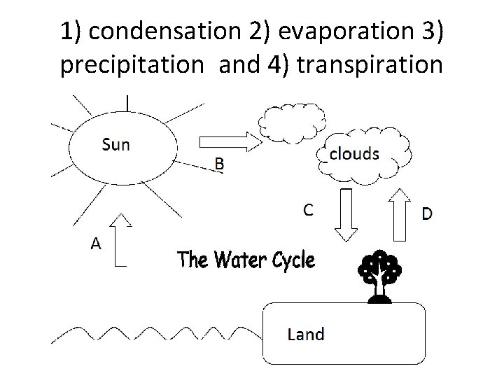 1) condensation 2) evaporation 3) precipitation and 4) transpiration 
