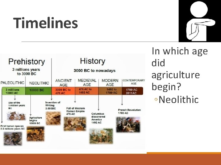 Timelines In which age did agriculture begin? ◦ Neolithic 