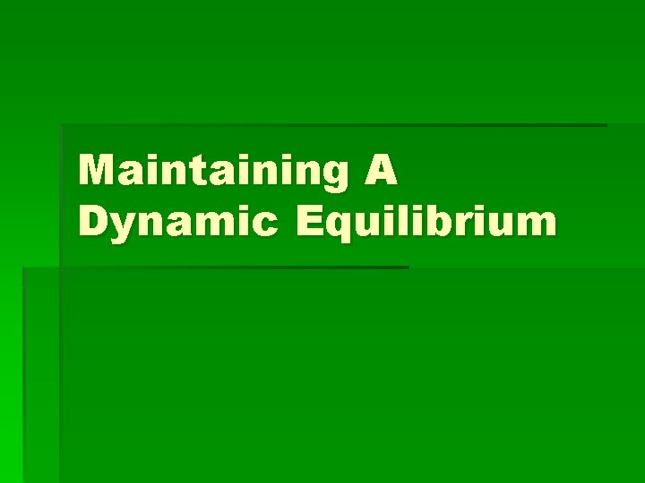 Maintaining A Dynamic Equilibrium 