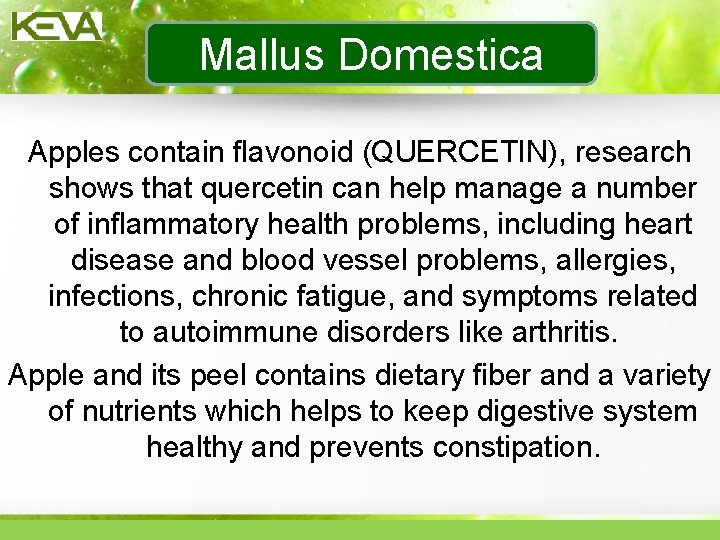 Mallus Domestica Apples contain flavonoid (QUERCETIN), research shows that quercetin can help manage a