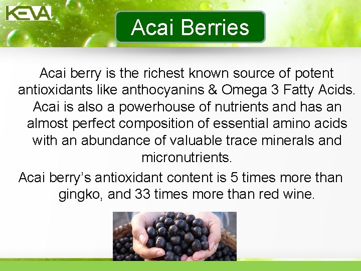 Acai Berries Acai berry is the richest known source of potent antioxidants like anthocyanins