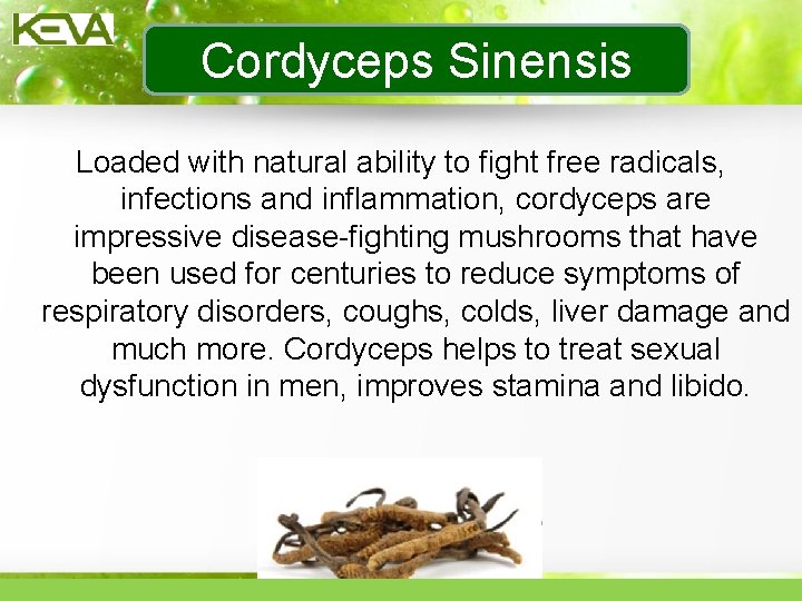 Cordyceps Sinensis Loaded with natural ability to fight free radicals, infections and inflammation, cordyceps