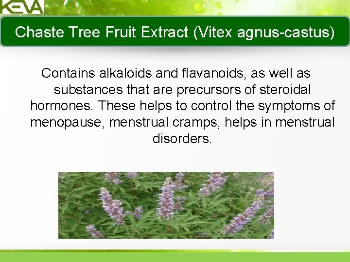 Chaste Tree Fruit Extract (Vitex agnus-castus) Contains alkaloids and flavanoids, as well as substances