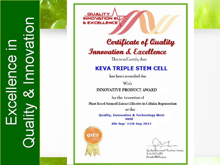 Excellence in Quality & Innovation 