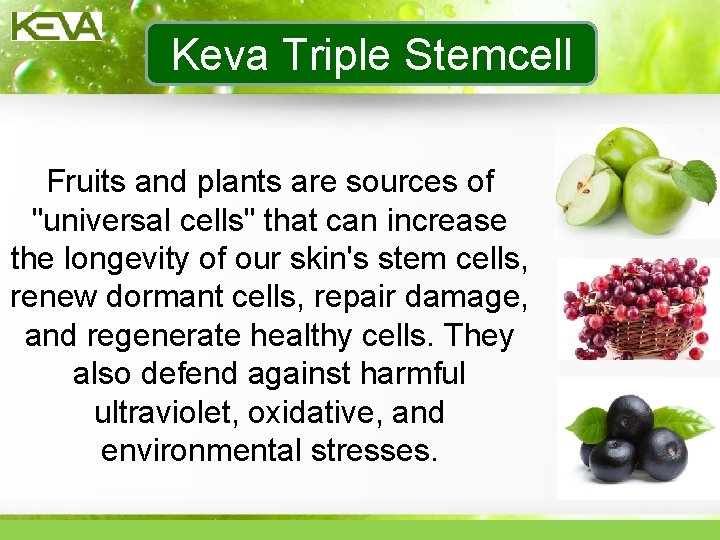 Keva Triple Stemcell Fruits and plants are sources of "universal cells" that can increase