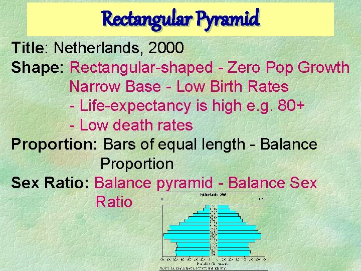 Rectangular Pyramid Title: Netherlands, 2000 Shape: Rectangular-shaped - Zero Pop Growth Narrow Base -