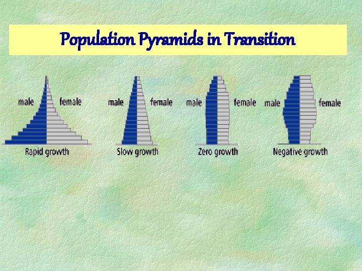 Population Pyramids in Transition 