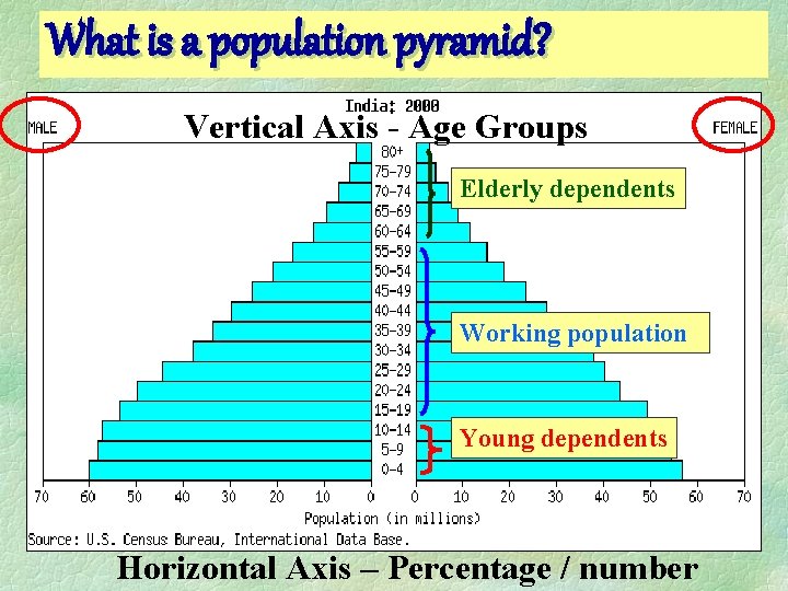 What is a population pyramid? Vertical Axis - Age Groups Elderly dependents Working population