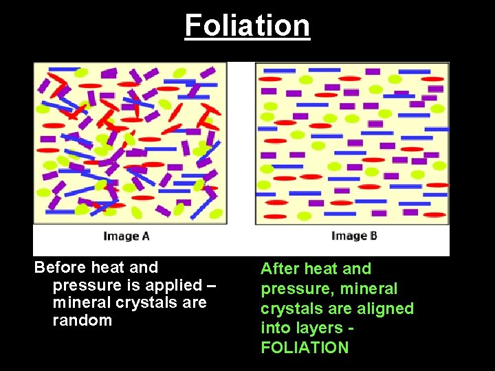 Foliation Before heat and pressure is applied – mineral crystals are random After heat