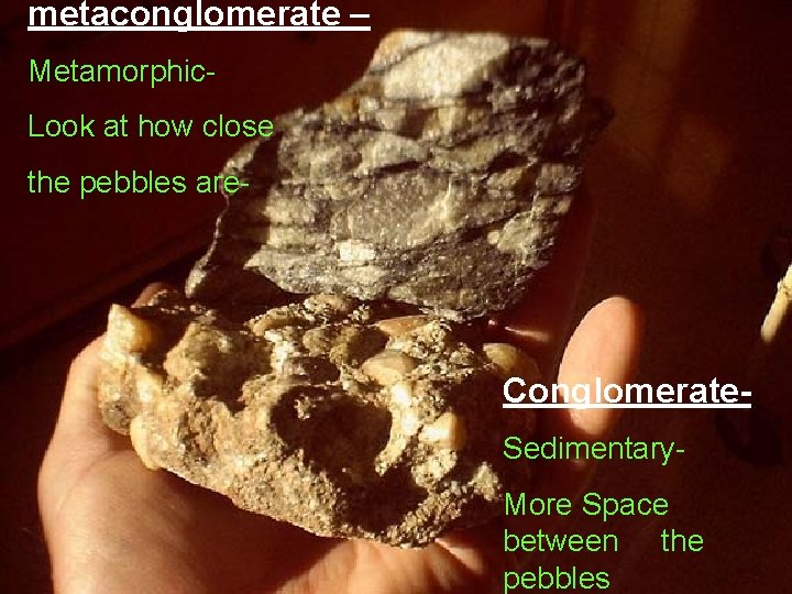 metaconglomerate – Metamorphic. Look at how close the pebbles are- Conglomerate. Sedimentary. More Space