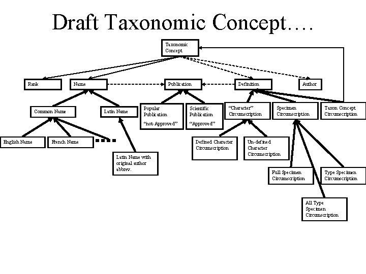 Draft Taxonomic Concept…. Taxonomic Concept Rank Name Common Name English Name Publication Latin Name