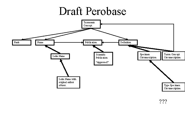 Draft Perobase Taxonomic Concept Rank Name Publication Latin Name Scientific Publication Definition Specimen Circumscription