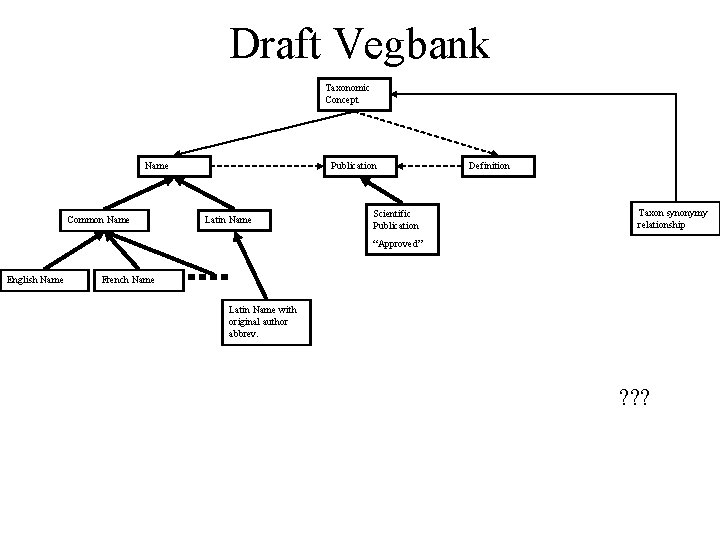 Draft Vegbank Taxonomic Concept Name Common Name Publication Latin Name Scientific Publication Definition Taxon