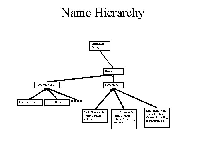 Name Hierarchy Taxonomic Concept Name Common Name English Name Latin Name French Name Latin