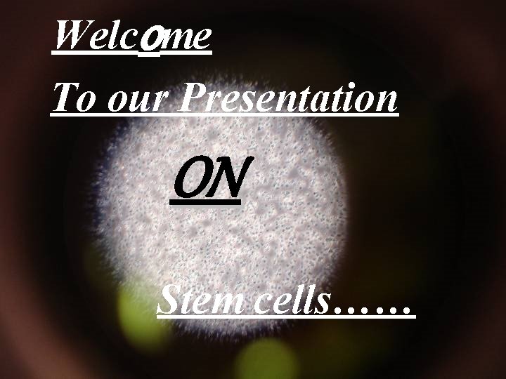 Welcome To our Presentation ON Stem cells…… 