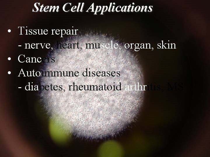 Stem Cell Applications • Tissue repair - nerve, heart, muscle, organ, skin • Cancers