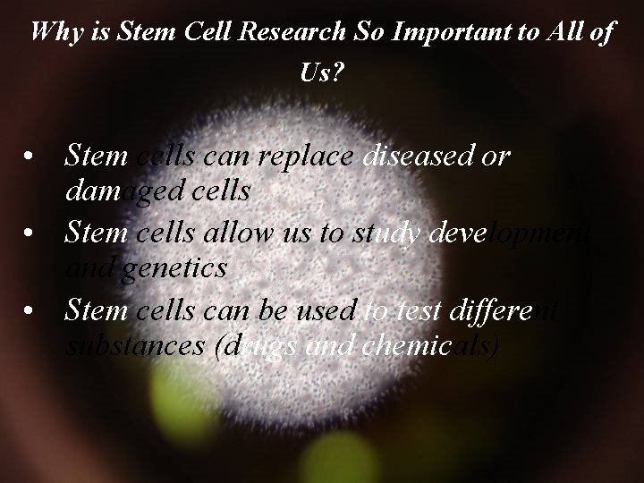 Why is Stem Cell Research So Important to All of Us? • Stem cells