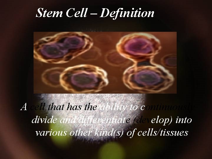 Stem. Cell –– Definition A cell that has the ability to continuously divide and