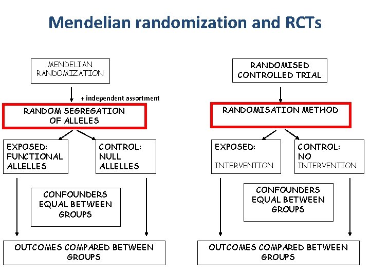 Mendelian randomization and RCTs MENDELIAN RANDOMIZATION RANDOMISED CONTROLLED TRIAL + independent assortment RANDOM SEGREGATION