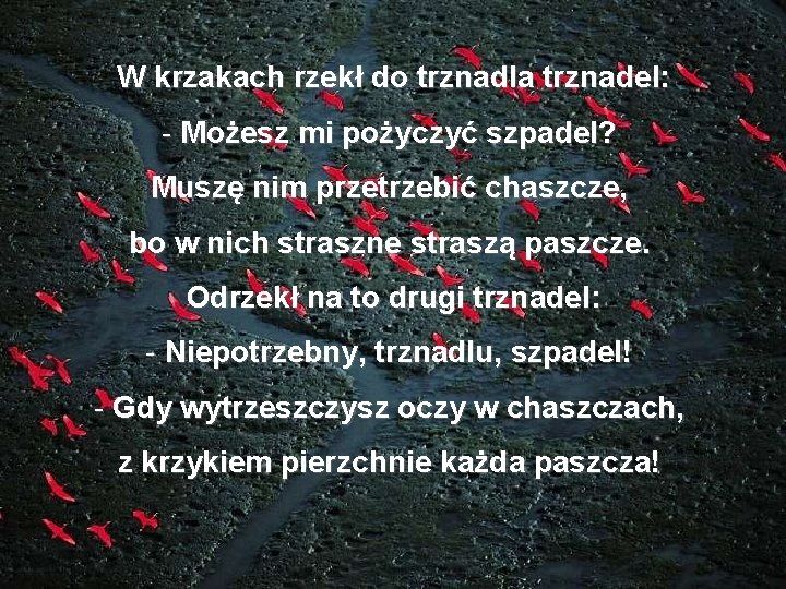 W krzakach rzekł do trznadla trznadel: - Możesz mi pożyczyć szpadel? Muszę nim przetrzebić