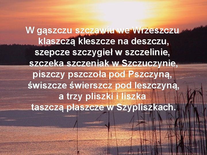 W gąszczu szczawiu we Wrzeszczu klaszczą kleszcze na deszczu, szepcze szczygieł w szczelinie, szczeka