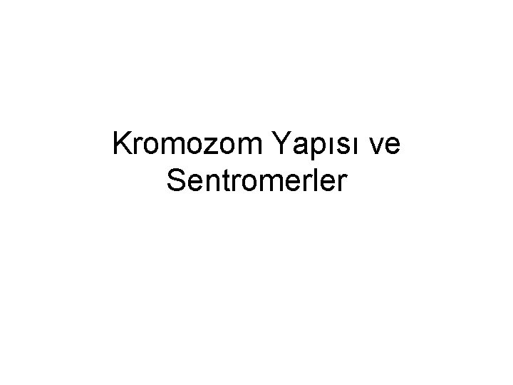 Kromozom Yapısı ve Sentromerler 
