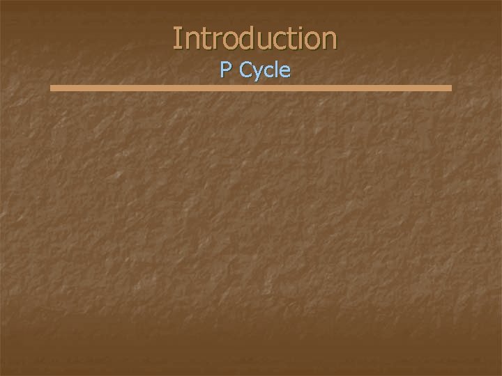 Introduction P Cycle 