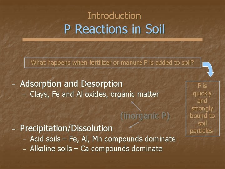 Introduction P Reactions in Soil What happens when fertilizer or manure P is added