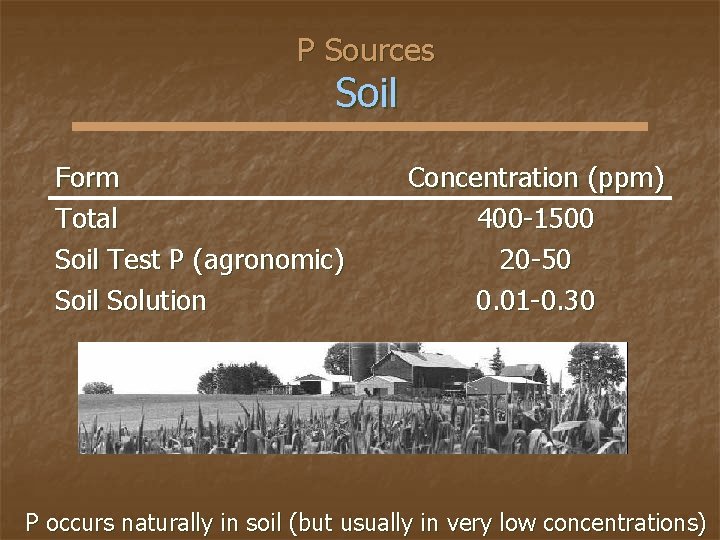 P Sources Soil Form Total Soil Test P (agronomic) Soil Solution Concentration (ppm) 400