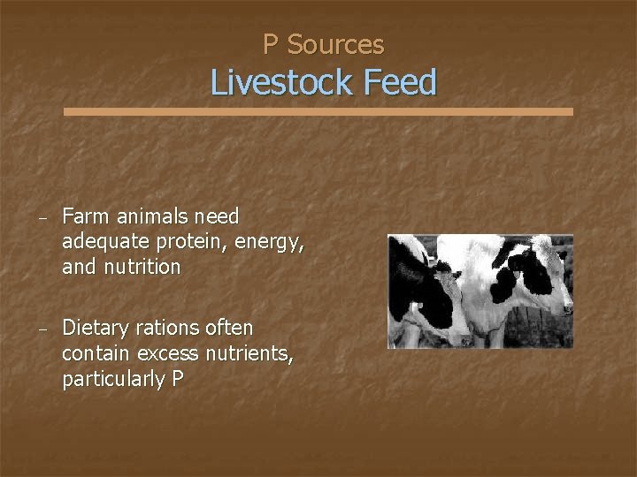 P Sources Livestock Feed − Farm animals need adequate protein, energy, and nutrition −