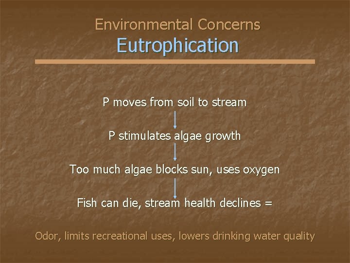 Environmental Concerns Eutrophication P moves from soil to stream P stimulates algae growth Too