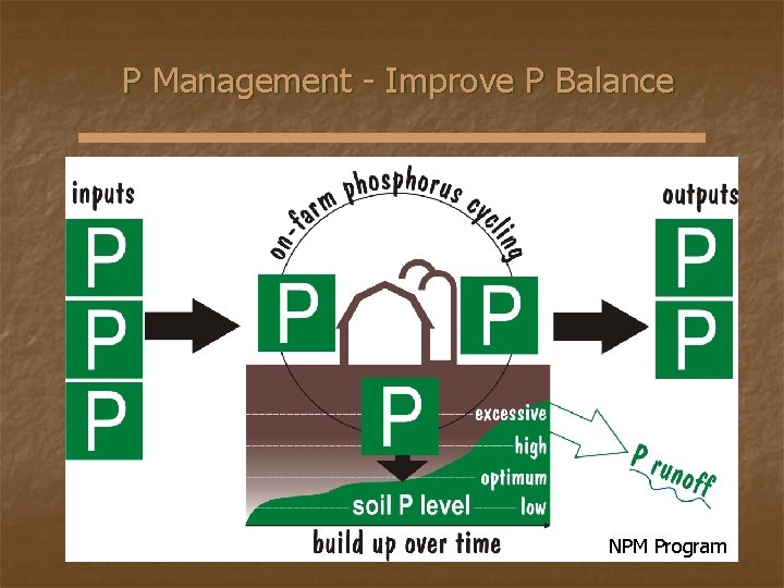 P Management - Improve P Balance NPM Program 