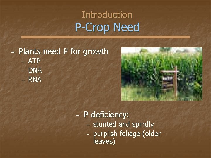 Introduction P-Crop Need − Plants need P for growth − − − ATP DNA