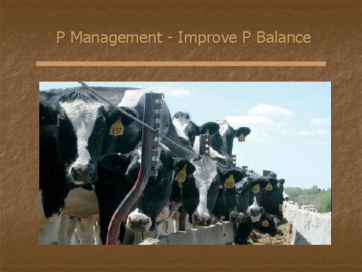 P Management - Improve P Balance 