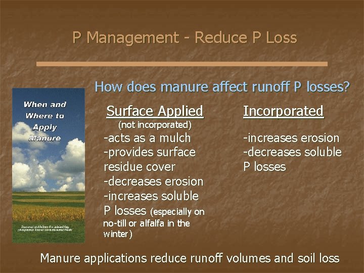 P Management - Reduce P Loss How does manure affect runoff P losses? Surface