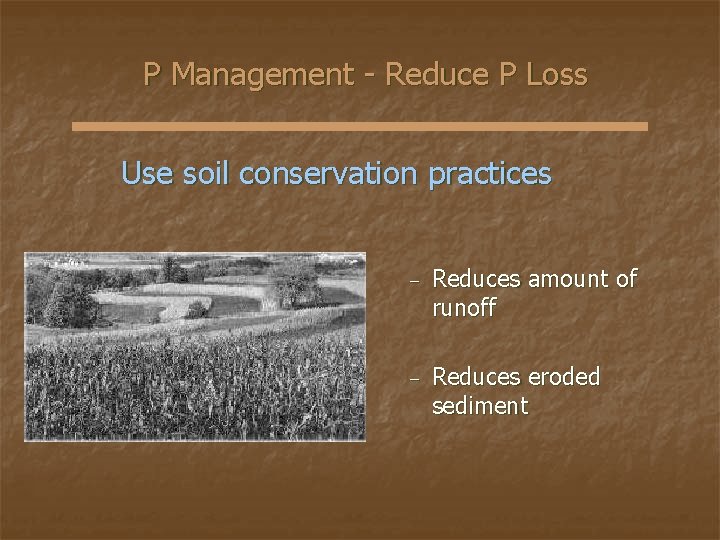 P Management - Reduce P Loss Use soil conservation practices − Reduces amount of