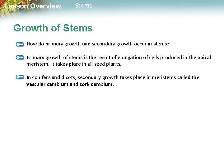 Lesson Overview Stems Growth of Stems How do primary growth and secondary growth occur