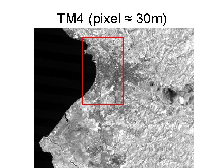 TM 4 (pixel ≈ 30 m) TM 4 (pixel ≈ 30 m)
