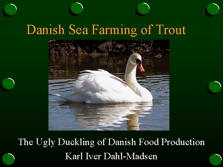 Danish Sea Farming of Trout The Ugly Duckling of Danish Food Production Karl Iver