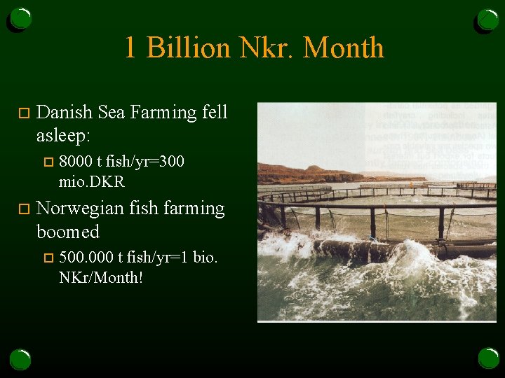 1 Billion Nkr. Month o Danish Sea Farming fell asleep: o o 8000 t