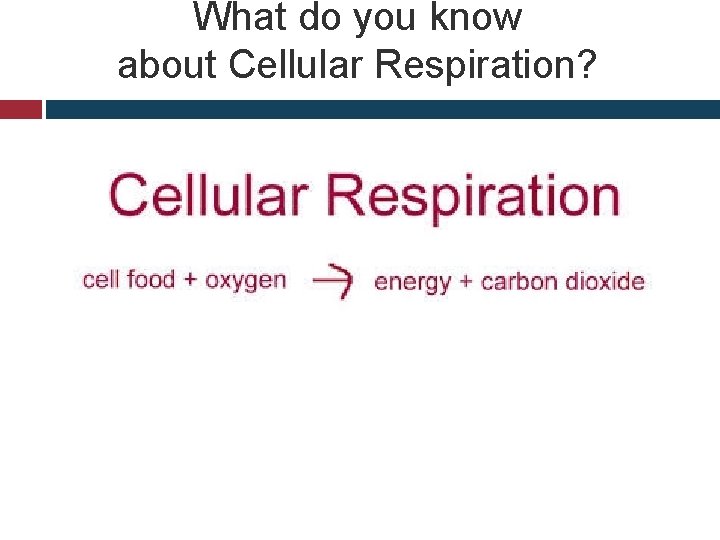 What do you know about Cellular Respiration? 