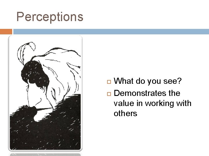 Perceptions What do you see? Demonstrates the value in working with others Perceptions What do you see? Demonstrates the value in working with others