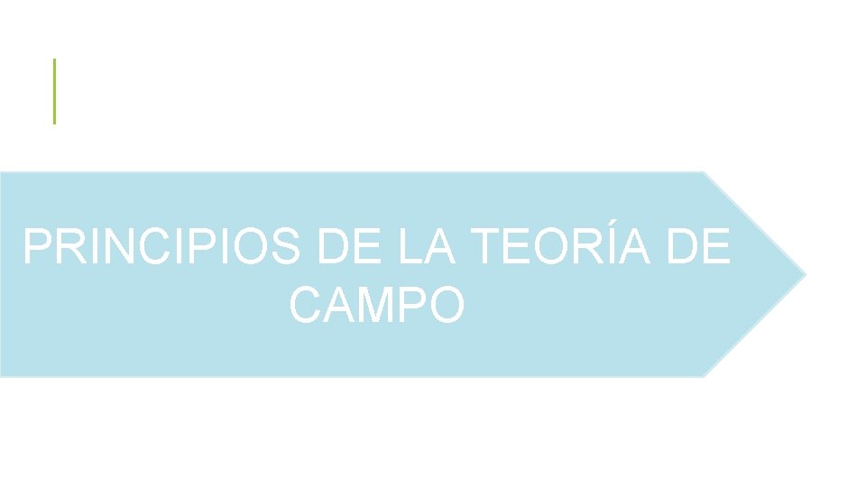 PRINCIPIOS DE LA TEORÍA DE CAMPO 