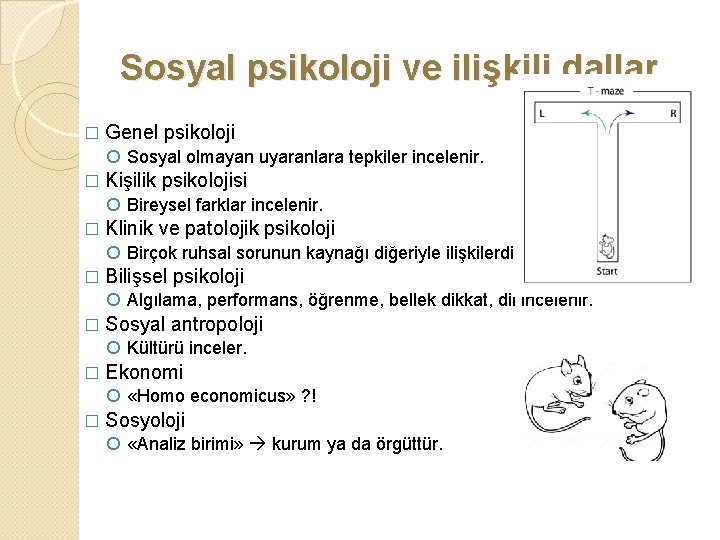 Sosyal psikoloji ve ilişkili dallar � Genel psikoloji Sosyal olmayan uyaranlara tepkiler incelenir. �