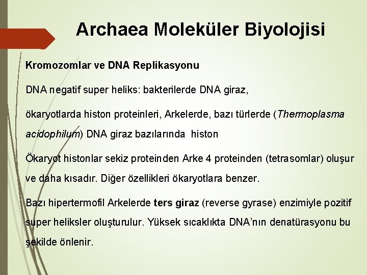 Archaea Moleküler Biyolojisi Kromozomlar ve DNA Replikasyonu DNA negatif super heliks: bakterilerde DNA giraz,
