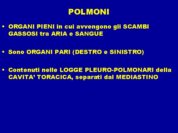 POLMONI • ORGANI PIENI in cui avvengono gli SCAMBI GASSOSI tra ARIA e SANGUE