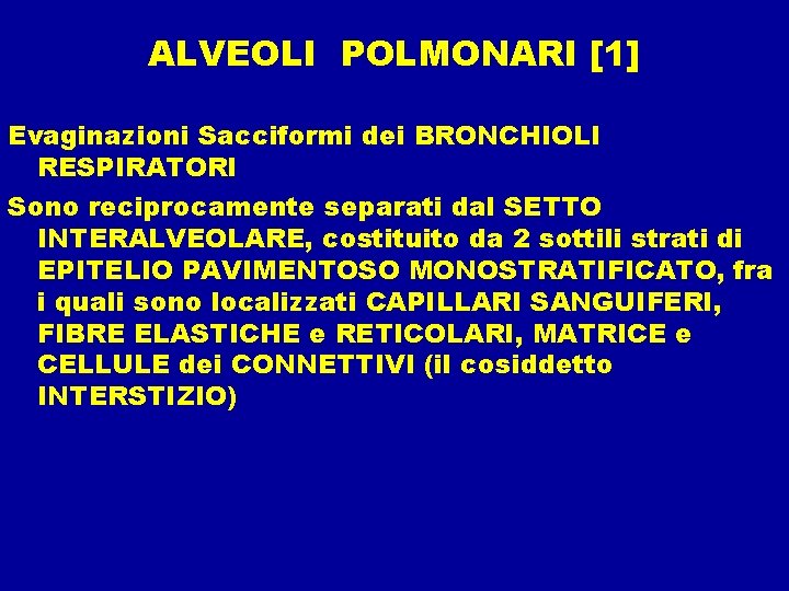 ALVEOLI POLMONARI [1] Evaginazioni Sacciformi dei BRONCHIOLI RESPIRATORI Sono reciprocamente separati dal SETTO INTERALVEOLARE,