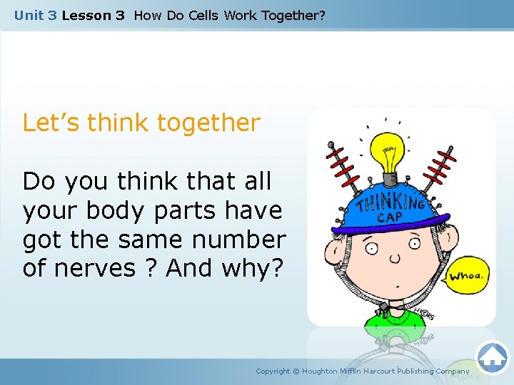 Unit 3 Lesson 3 How Do Cells Work Together? Let’s think together Do you