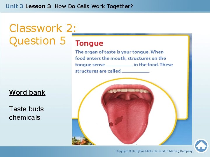 Unit 3 Lesson 3 How Do Cells Work Together? Classwork 2: Question 5 Word